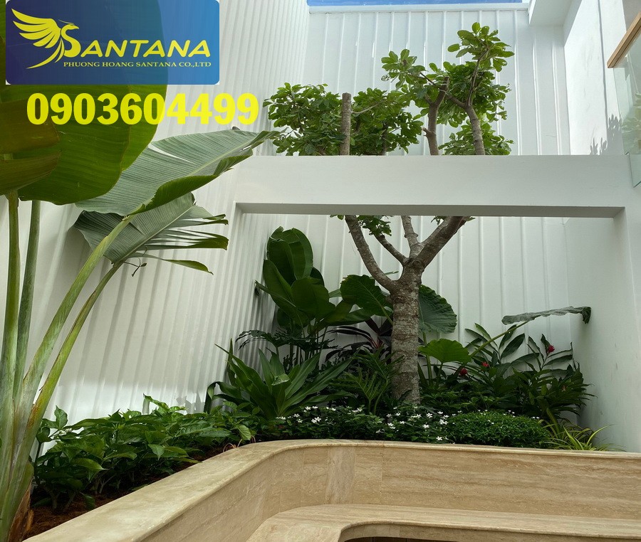 TUYỆT PHẨM Nhà Phố VƯỜN 3 lầu (5,5x13) khu cao cấp mặt tiền Lê Trực